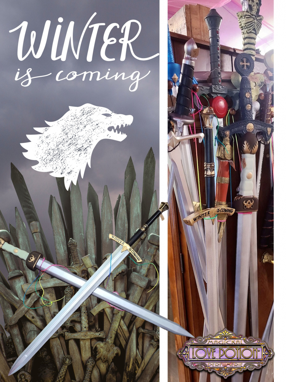 Winter is Coming 308516756_506510794783015_3810756364020304611_n.jpg
