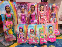 Barbie's World